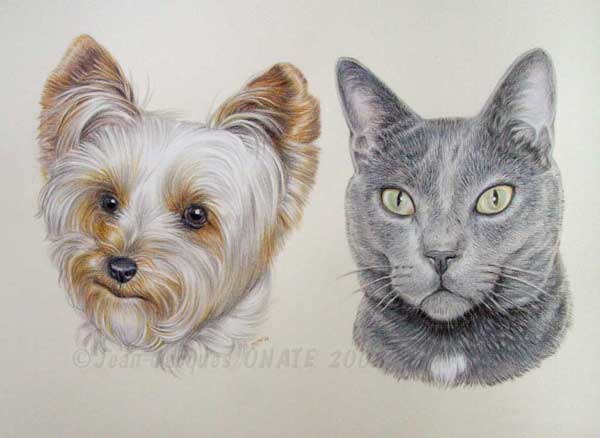 Composition en tableau du chien Yorkshire Victor et du Chartreux Golfi dans un seul double portrait